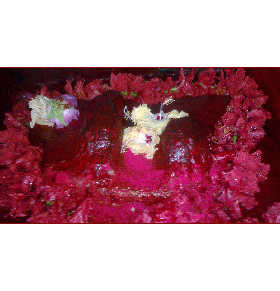 maa tara of tarapith