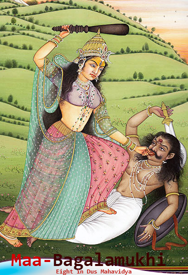 Maa Bagalamukhi, बगलामुखी