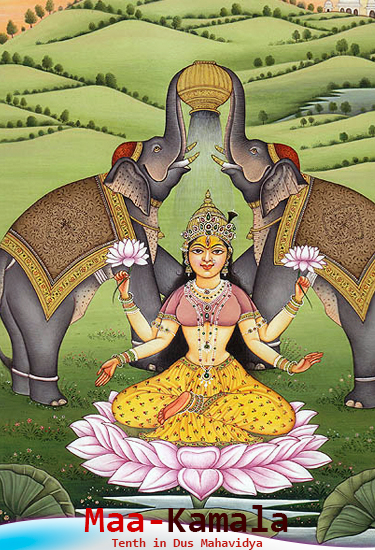 Maa Kamala, कमला